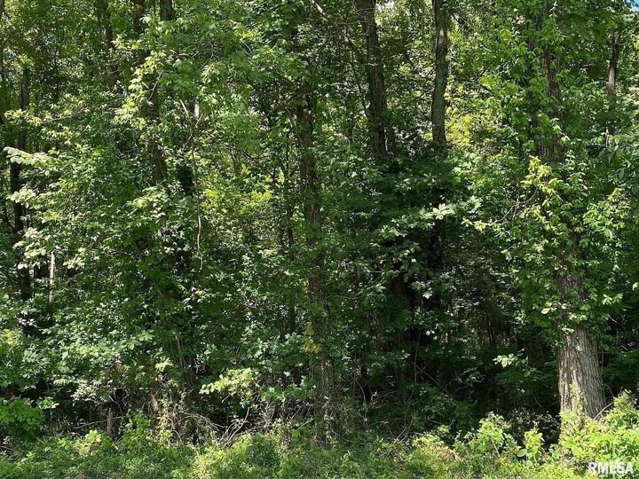 Property Photo:  0000 4th Street  IL 62814 