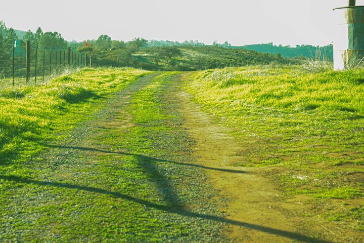 Property Photo:  2296 Azucena Court  CA 95329 