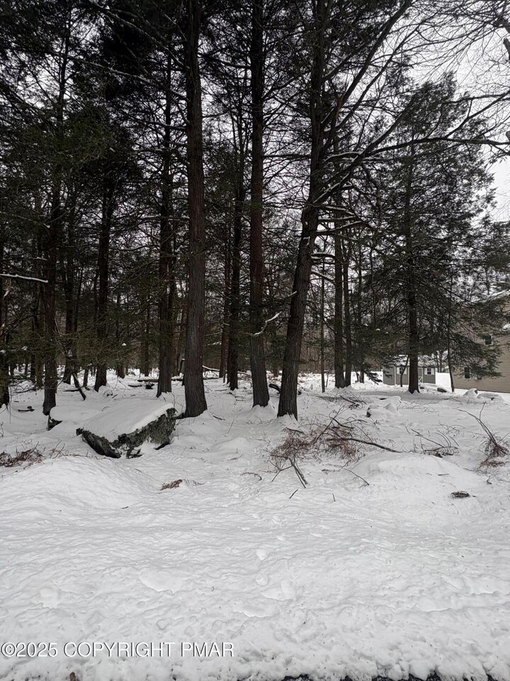 Property Photo: 36 Old Silver Mine Trail PA 18424