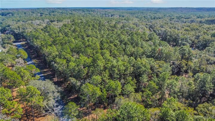 Property Photo: 3418 E Shands Court FL 34452