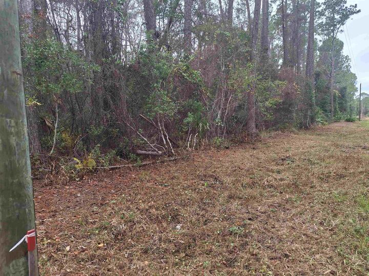 Property Photo: 159 Lakeway Dr FL 32139