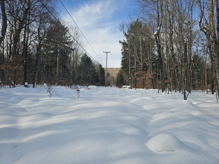 Property Photo:  490 Marshall Drive  NY 12953 