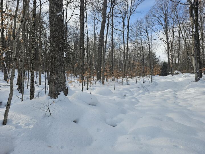 Property Photo:  (Lot 3)490 Marshall Drive  NY 12953 
