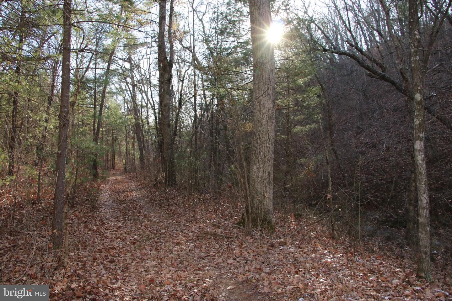 Property Photo:  John Marshall Highway  VA 22657 
