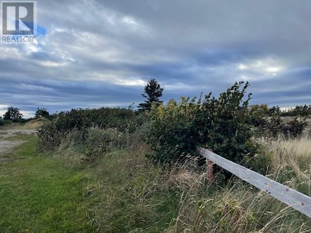 Property Photo:  Lot 3 McIsaac'S Lane  NL A0N 1T0 