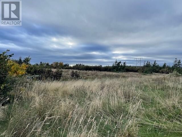 Property Photo:  Lot 4 McIsaac'S Lane  NL A0N 1T0 
