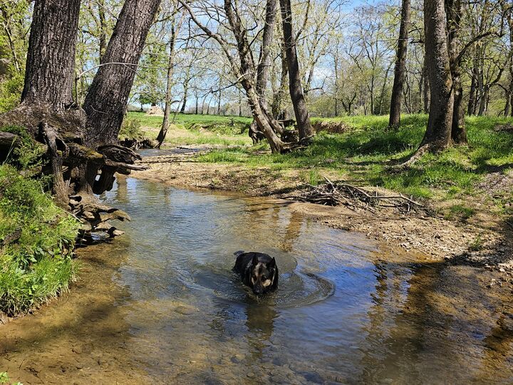 Property Photo: 495 Lower East Valley Road TN 37327