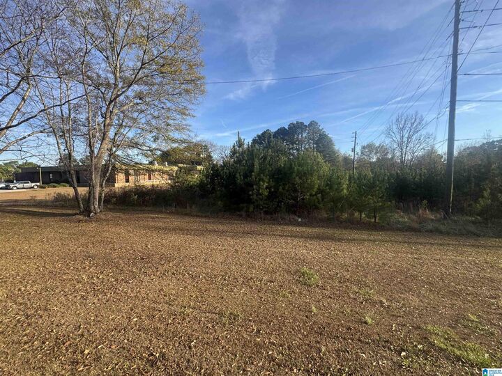 Property Photo:  0 Highway 78 0  AL 36203 