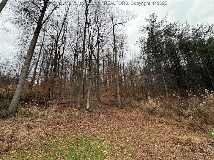 Property Photo:  25 Pinson Drive  WV 25213 