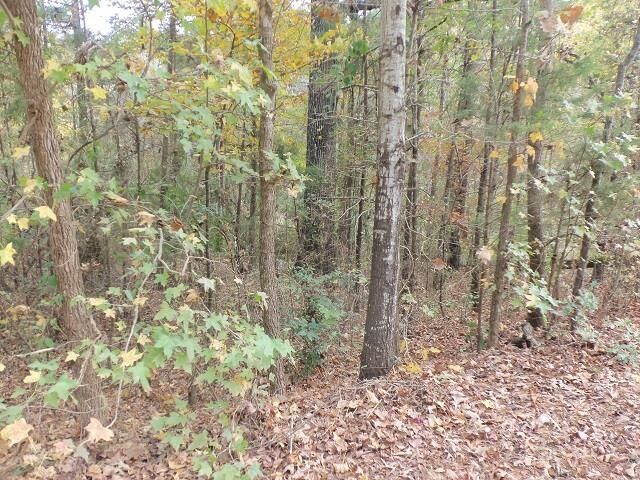 Property Photo:  Tbd Florey Lake Road  TX 75662 