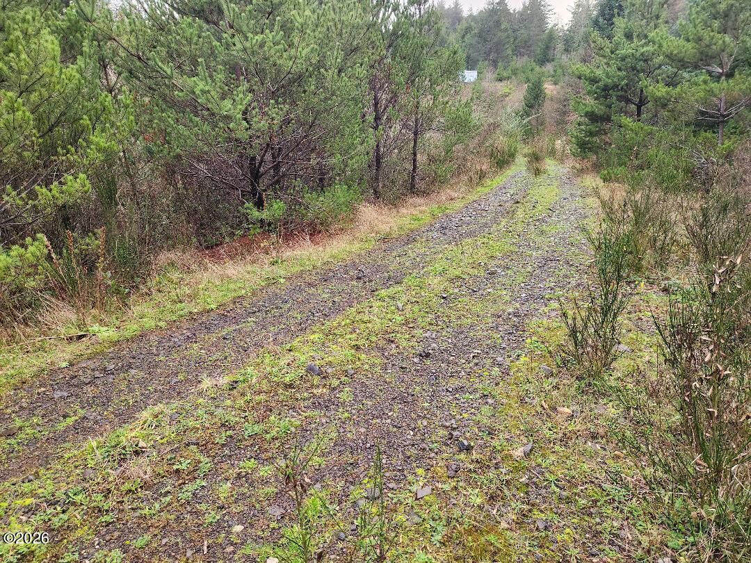 Property Photo: Tl 1100 NW Legion Road OR 97394