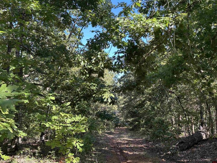 Property Photo:  1609 Old Strawberry Lane  AR 72512 