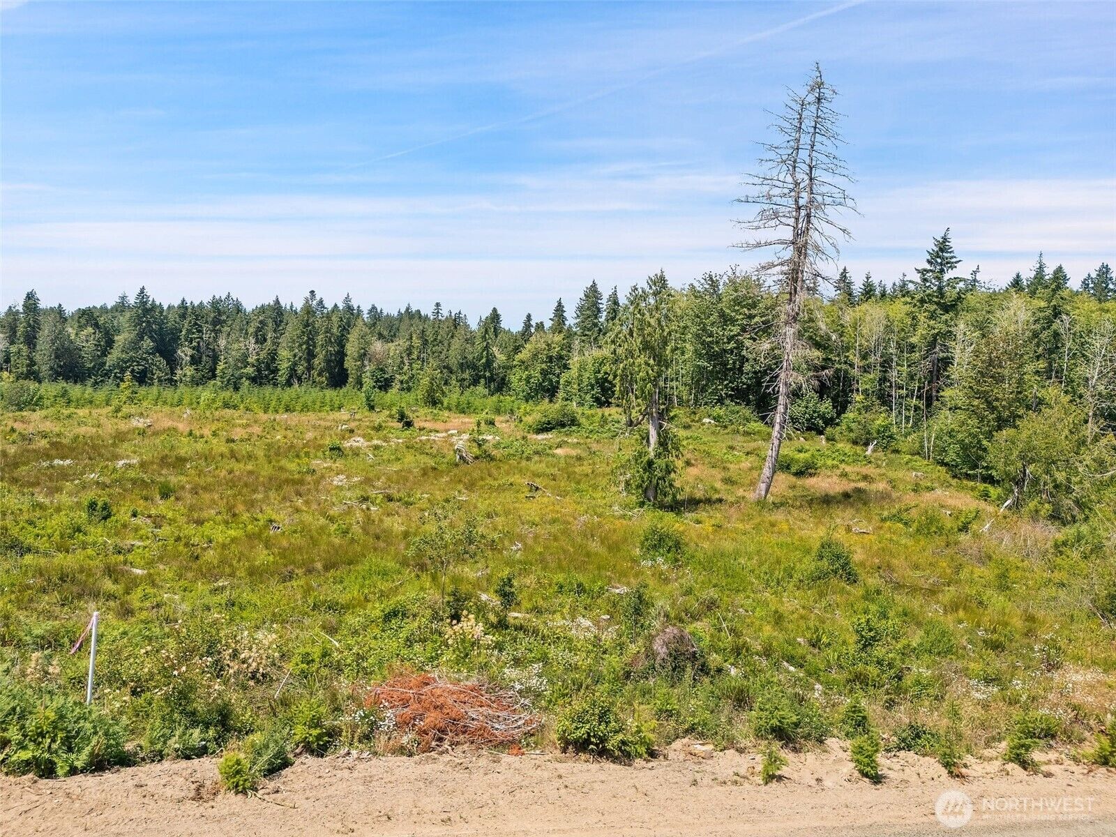 Property Photo: 0 Tr 3 SE Wellswood Way WA 98584