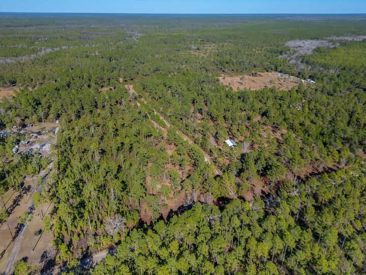 Property Photo:  311 Clarks Landing Road  FL 32322 