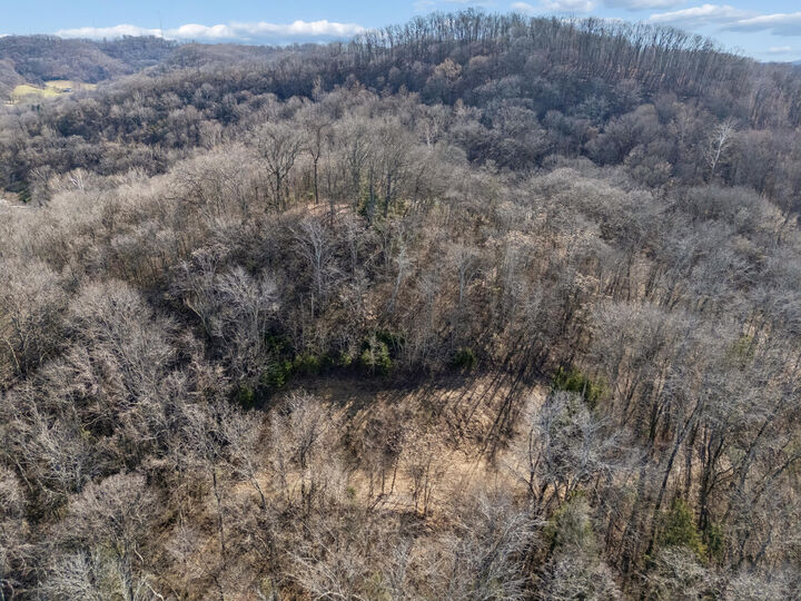 Property Photo:  6450 Log Cabin Trail  TN 37027 