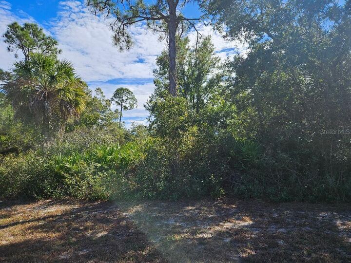 Property Photo:  211 Baldur Drive  FL 33954 