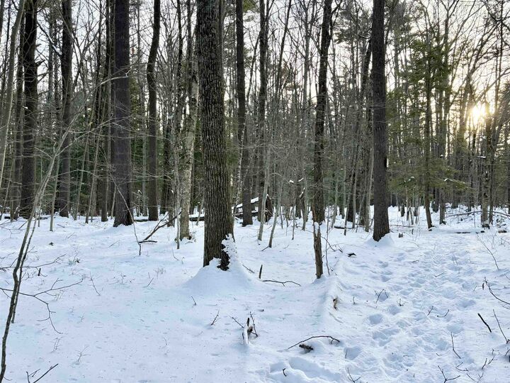 Property Photo:  Lot 80-1 Currier Road  NH 03034 