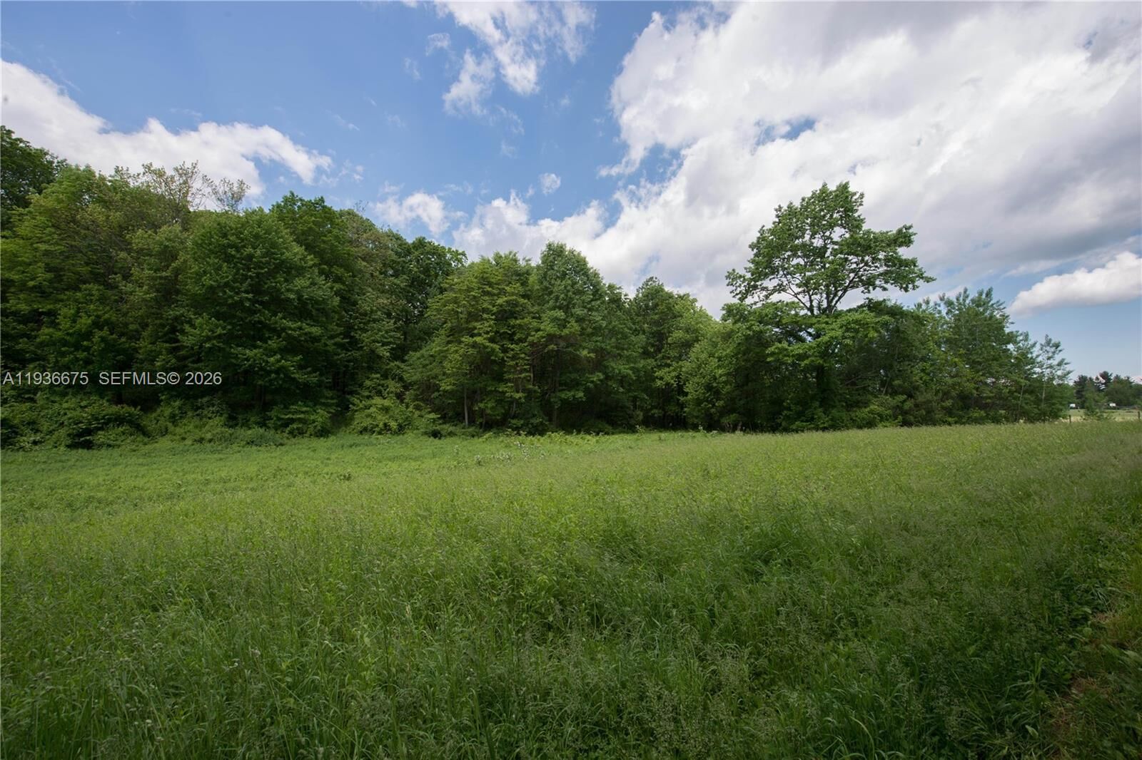 Property Photo:  159 Ave SW 29 St  FL 33185 