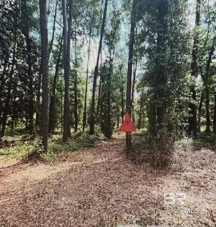 Property Photo: 0 W Woodhaven Dairy Road AL 36576