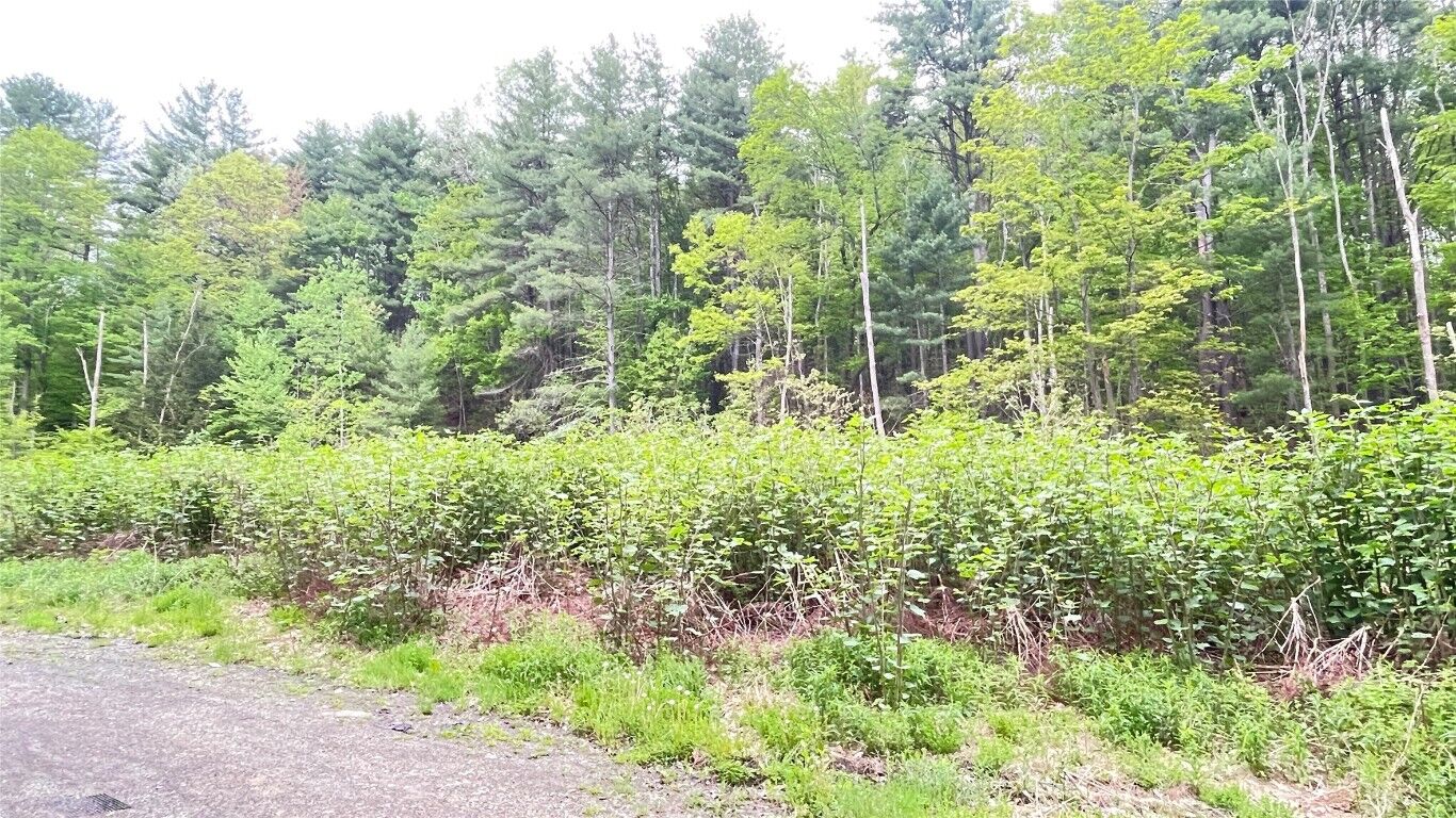 Property Photo:  33 E Maine Road  NY 13790 