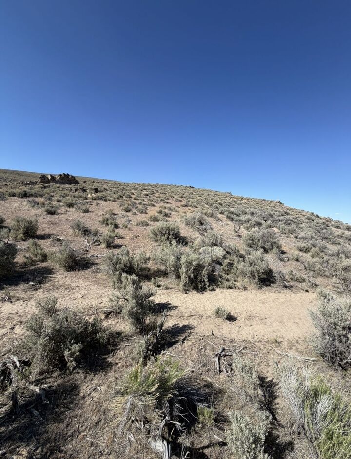Property Photo:  Sec 29 Twp 37N Rge 58E Mdb&M  NV 89801 