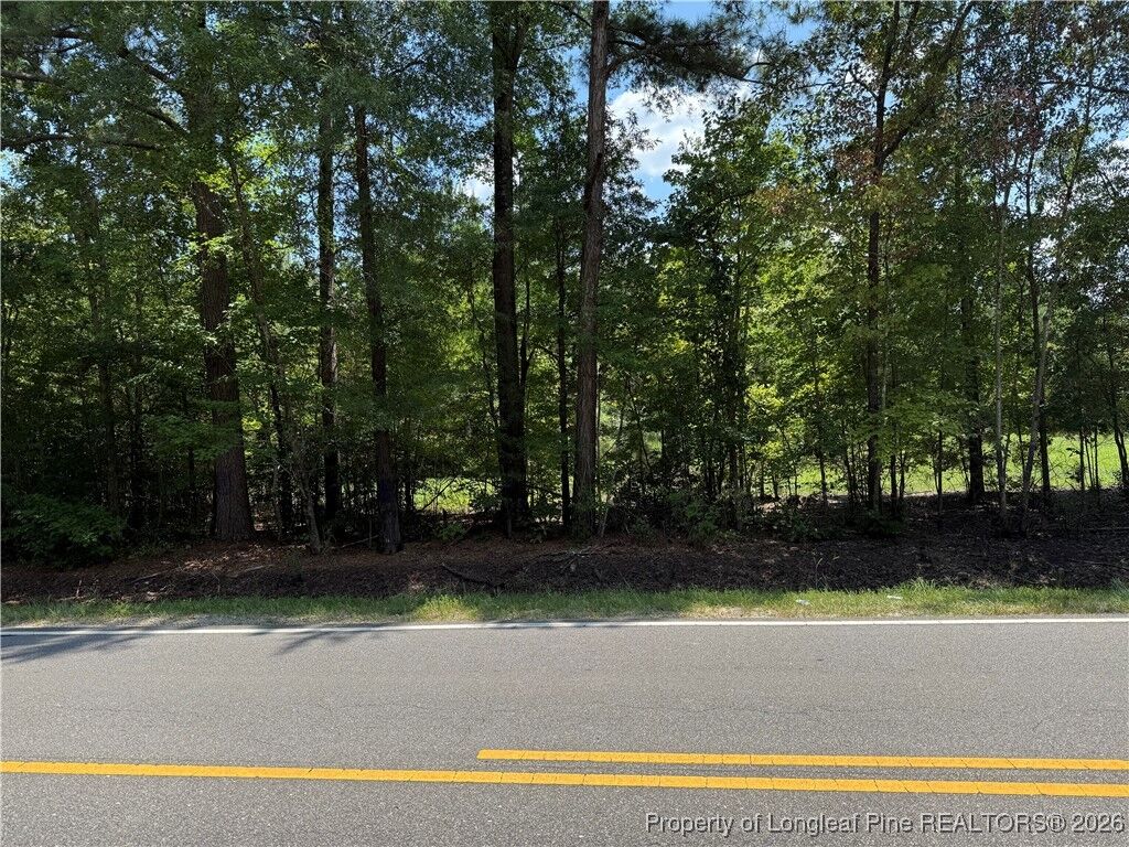 Property Photo:  0 Tabor Church Road  NC 28312 