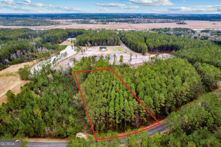 Property Photo:  Lot 94 Waverly West Lane  GA 31568 