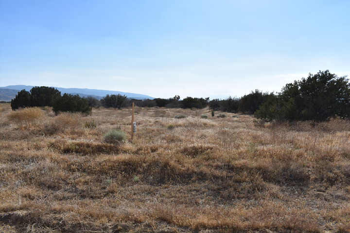 Property Photo: 0 W 210th &Amp Avenue D1 CA 93536