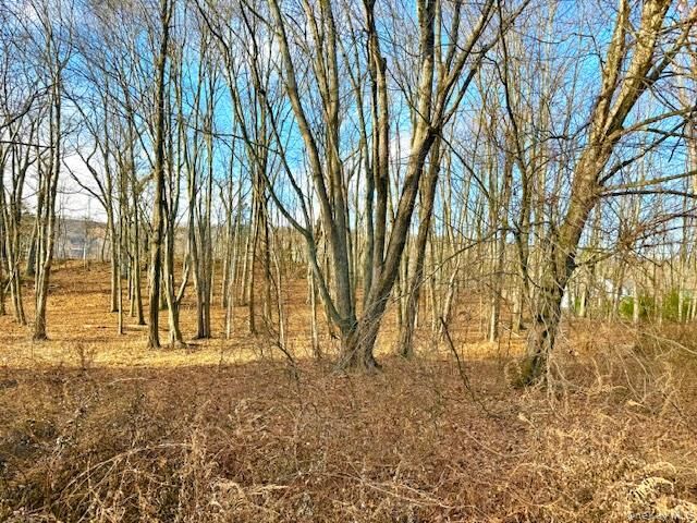 Property Photo:  56 Route 209  NY 12771 