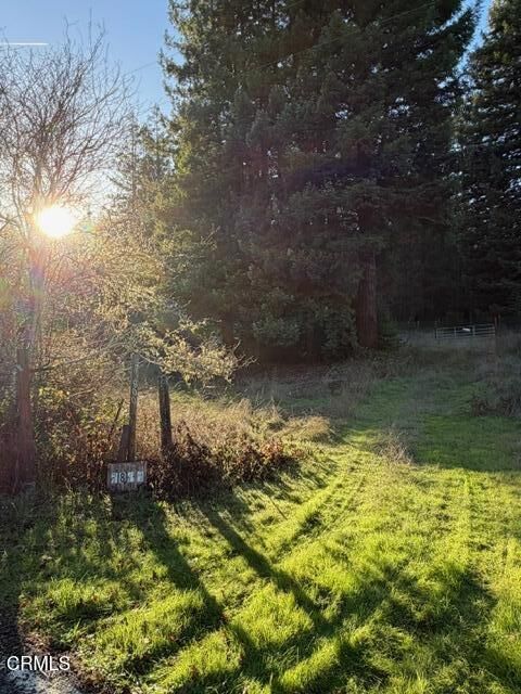 Property Photo:  7800 Flynn Creek Road  CA 95427 