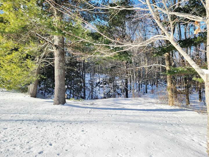Property Photo:  1244 Gary Moore Road  ME 04605 