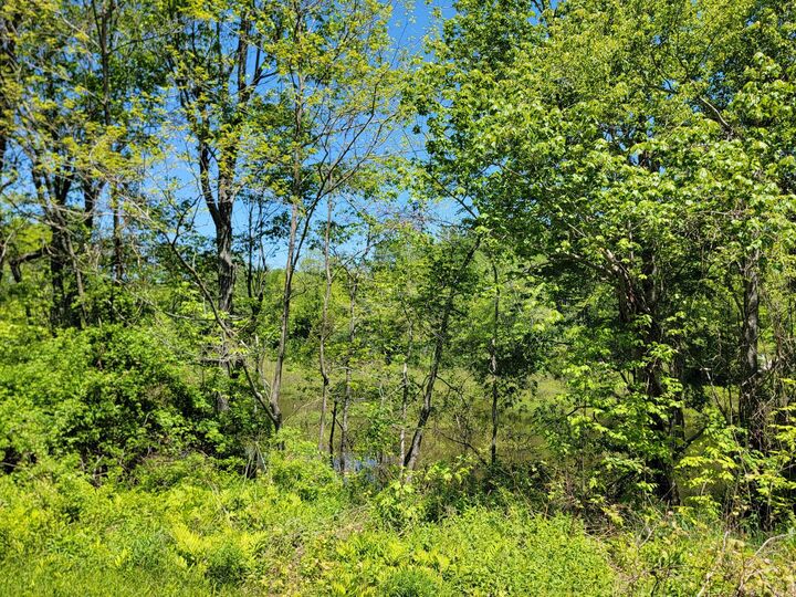 Property Photo: 1244 Gary Moore Road ME 04605