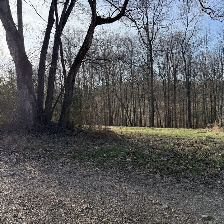 Property Photo:  0 N College St  TN 37150 