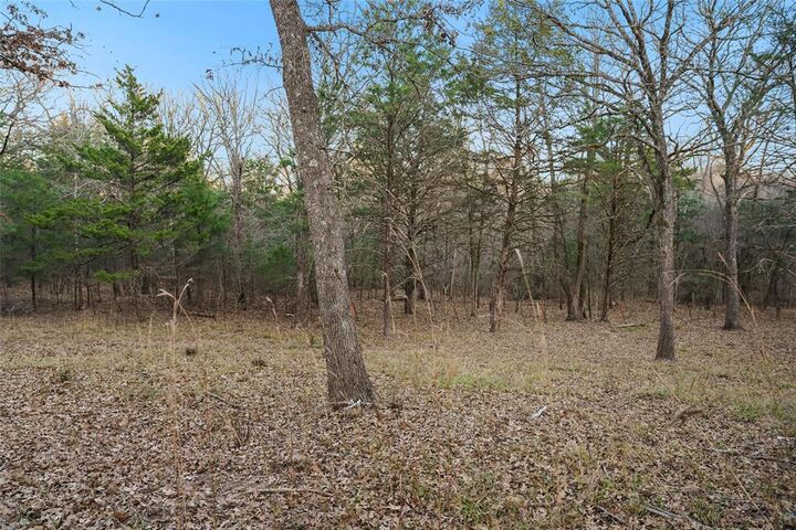 Property Photo: 290 Rs County Road 4254 TX 75472