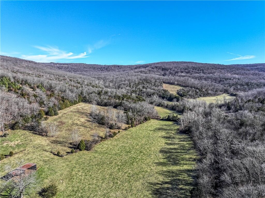 Property Photo: Tbd 001-06631-001 Madison 2700 AR 72742