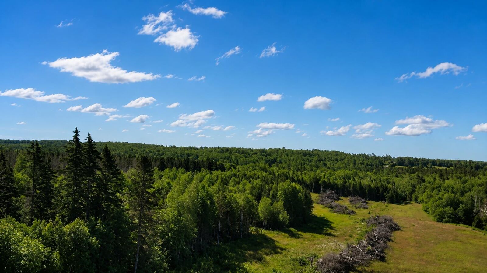 Property Photo: Lot Queens Road - Rte 210 Road PE C0A 1R0