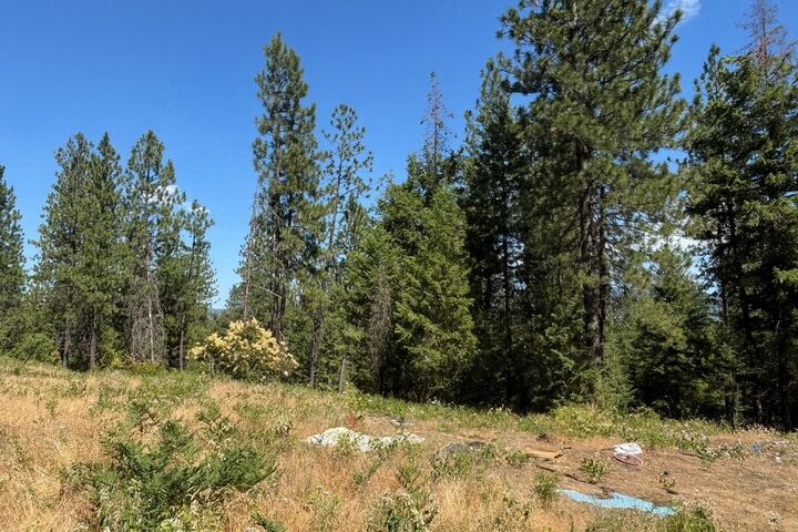 Property Photo: 34711 N Waldrons Ln 49311.9012 WA 99003