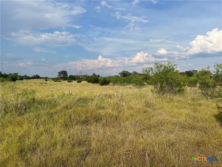 Property Photo:  Tbd County Road 421  TX 76525 