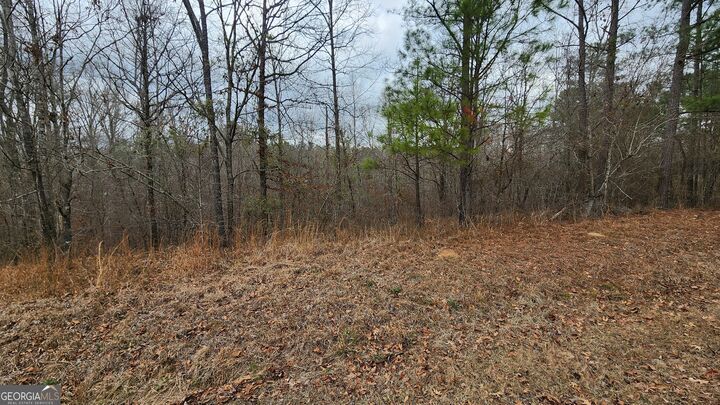 Property Photo: 0 Ethridge Place GA 31032