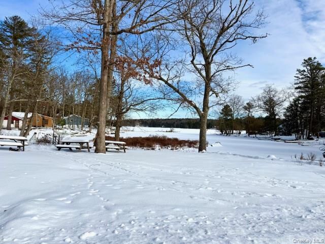 Property Photo:  195 W Mohican Trail  NY 12737 