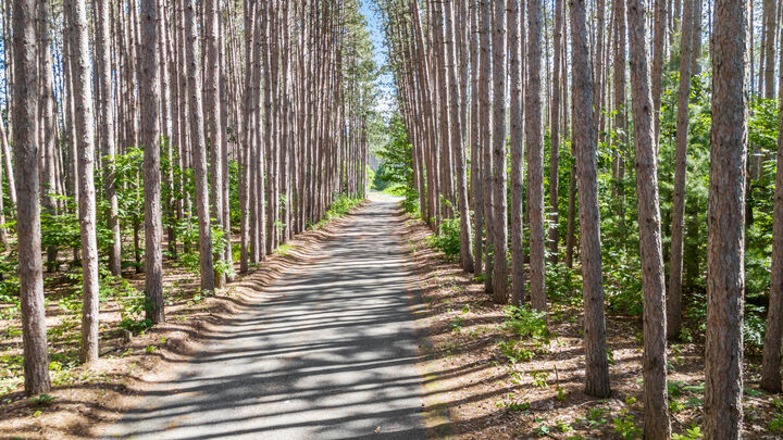 Property Photo: 3914 135th Avenue MI 49639