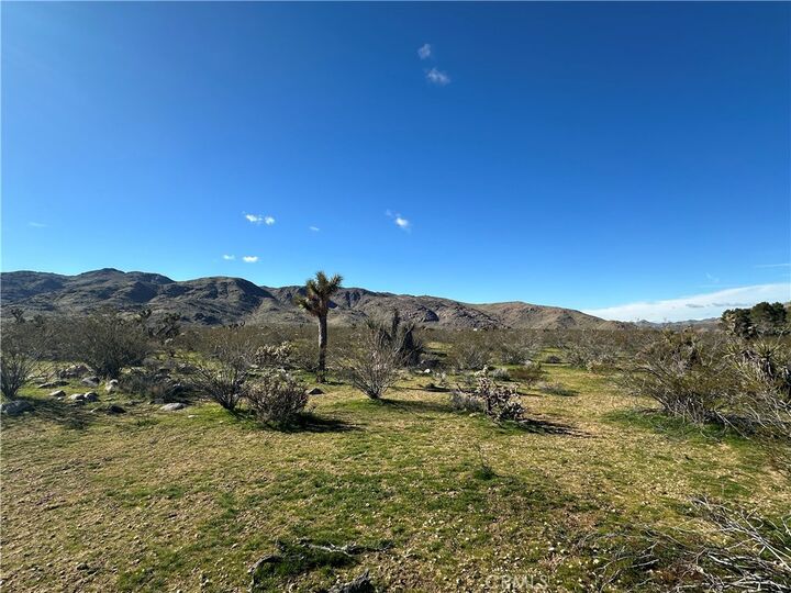 Property Photo:  0 Cahuilla Road  CA 92307 