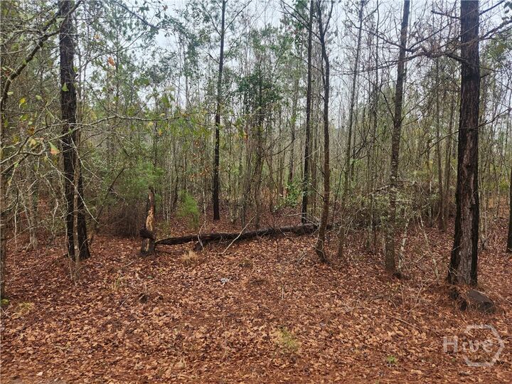 Property Photo:  351 Poplar  GA 31321 