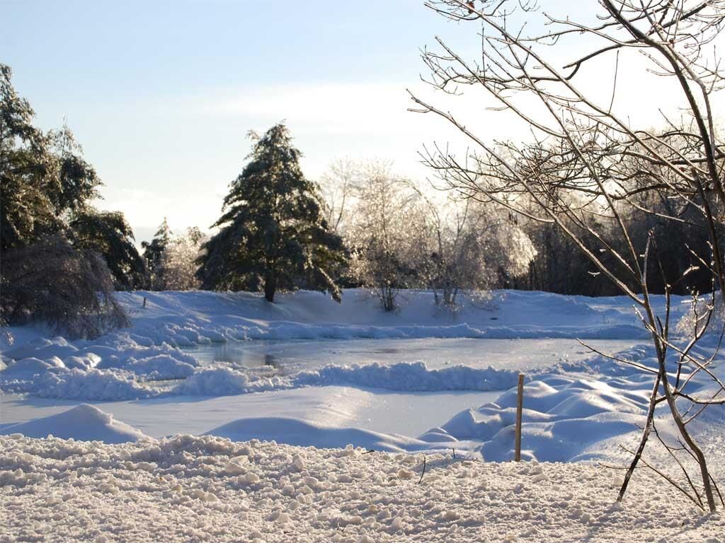 Property Photo: 516 Steele Hill Road NH 03269