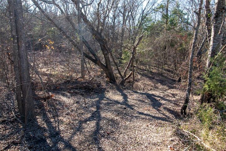 Property Photo:  Lot4 County Road 2905  TX 75438 