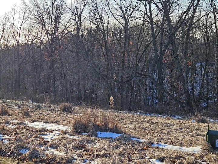 Property Photo:  Tbd Gig Drive (Lot 24)  IL 61036 