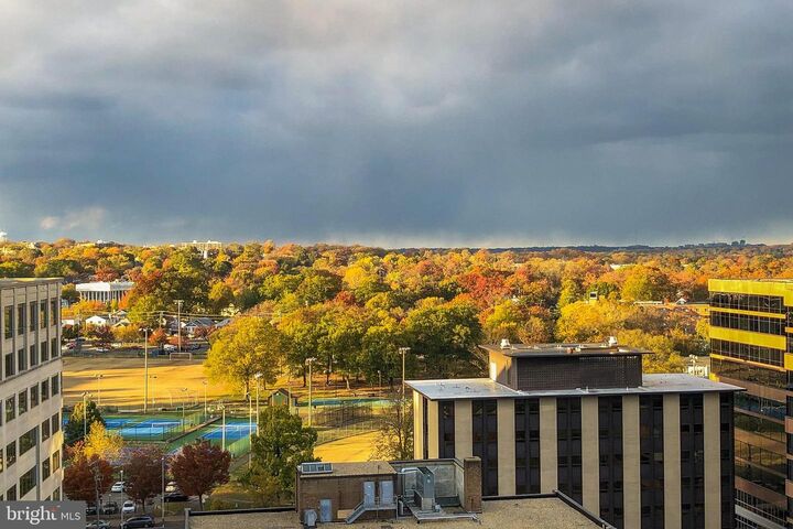 Property Photo:  3800 Fairfax Drive 1211  VA 22203 