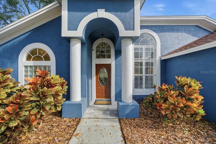 Property Photo: 15207 Arbor Hollow Drive FL 33556