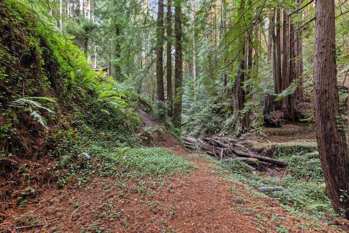 Property Photo:  3936 Tunitas Creek Road  CA 94019 