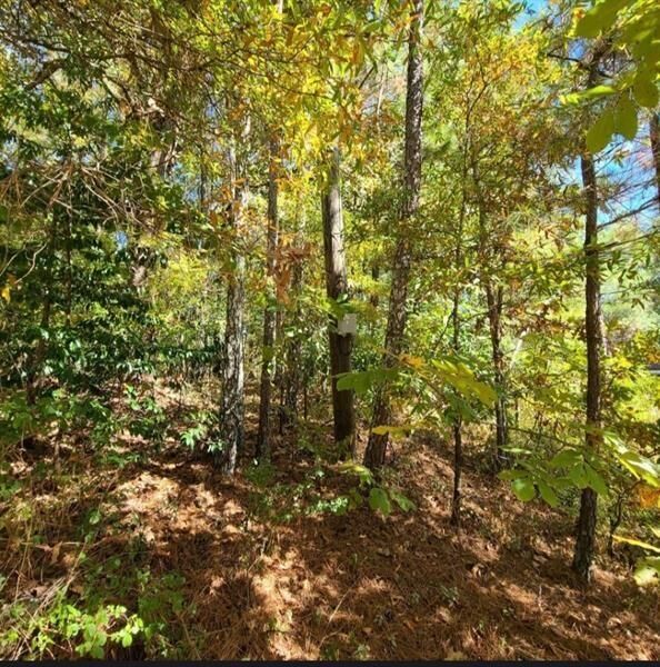 Property Photo:  0 Scarlett Lane  GA 30161 